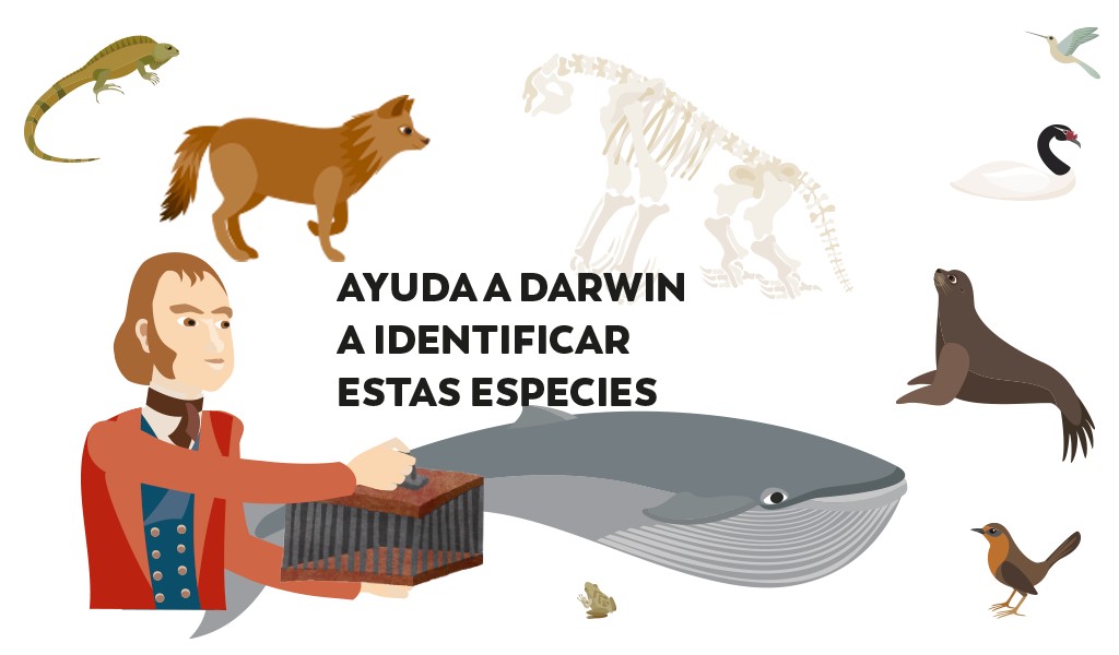 Darwin y las especies