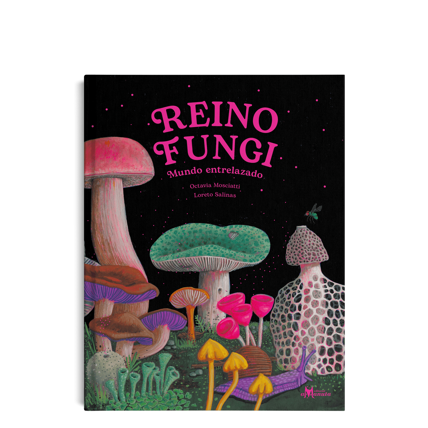 Reino Fungi