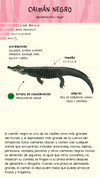 Cuaderno de anfibios y reptiles de América